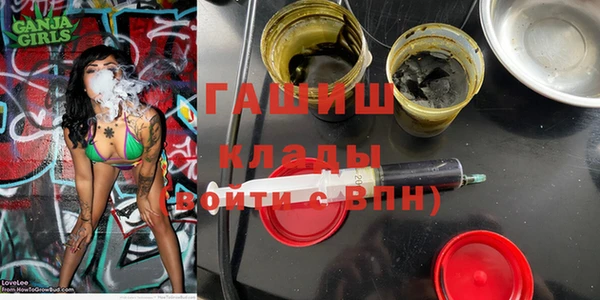стаф Коряжма