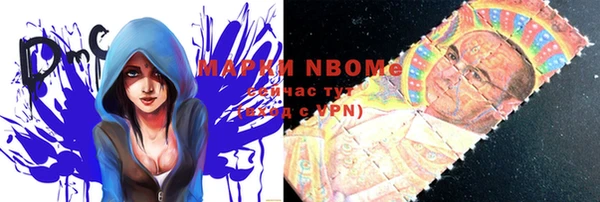 шишки Алзамай